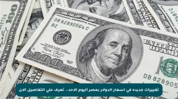 تغييرات جديدة في أسعار الدولار بمصر اليوم الأحد.. تعرف على التفاصيل الآن